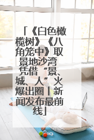 《白色橄榄树》《八角笼中》取景地沙湾 凭借“景、城、人”火爆出圈丨新闻发布最前线
