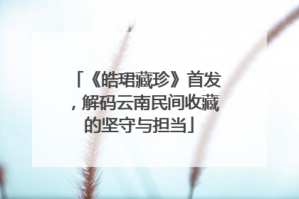 《皓珺藏珍》首发，解码云南民间收藏的坚守与担当