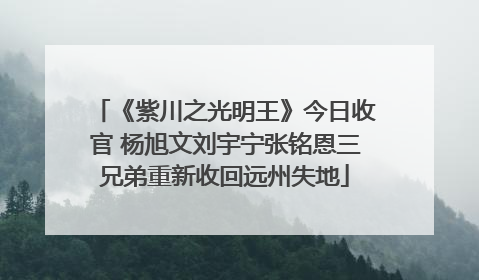 《紫川之光明王》今日收官 杨旭文刘宇宁张铭恩三兄弟重新收回远州失地