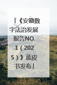 《安徽数字法治发展报告NO.1（2025）》蓝皮书发布