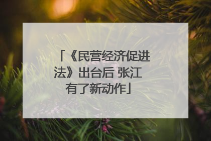 《民营经济促进法》出台后 张江有了新动作