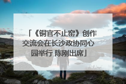 《铜官不止窑》创作交流会在长沙政协同心园举行 陈刚出席