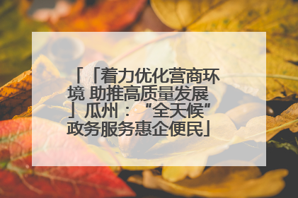 「着力优化营商环境 助推高质量发展」瓜州：“全天候”政务服务惠企便民