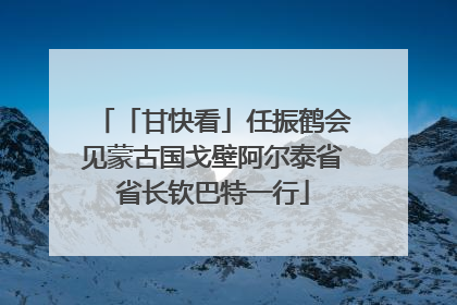 「甘快看」任振鹤会见蒙古国戈壁阿尔泰省省长钦巴特一行