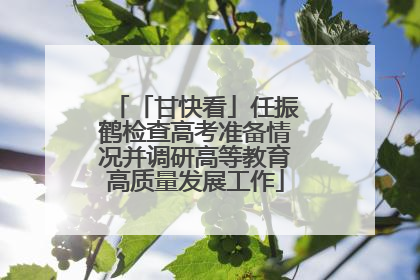 「甘快看」任振鹤检查高考准备情况并调研高等教育高质量发展工作