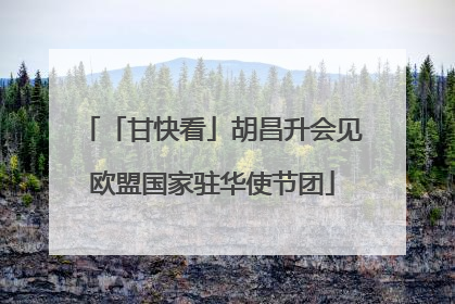 「甘快看」胡昌升会见欧盟国家驻华使节团