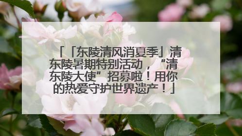「东陵清风消夏季」清东陵暑期特别活动，“清东陵大使”招募啦！用你的热爱守护世界遗产！