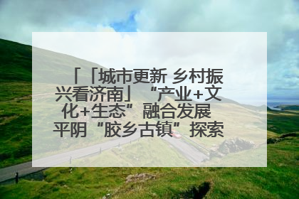 「城市更新 乡村振兴看济南」“产业+文化+生态”融合发展 平阴“胶乡古镇”探索振兴路径成效显著