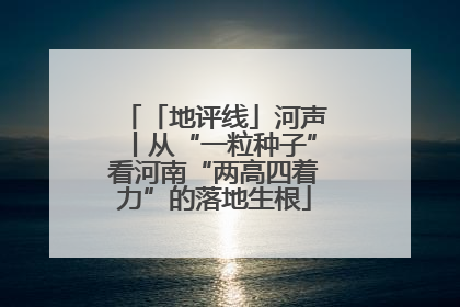 「地评线」河声丨从“一粒种子”看河南“两高四着力”的落地生根