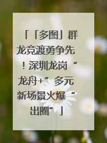 「多图」群龙竞渡勇争先！深圳龙岗“龙舟+”多元新场景火爆“出圈”