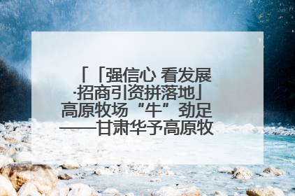 「强信心 看发展·招商引资拼落地」高原牧场“牛”劲足——甘肃华予高原牧场高标准奶牛肉牛养殖项目一线见闻