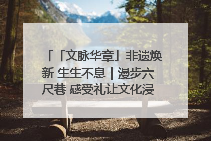 「文脉华章」非遗焕新 生生不息｜漫步六尺巷 感受礼让文化浸润的“巷”往生活