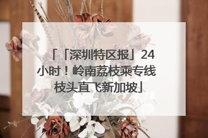 「深圳特区报」24小时！岭南荔枝乘专线 枝头直飞新加坡