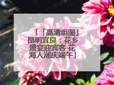 「高清组图」昆明宜良：花乡盛宴迎宾客 花海人潮庆端午