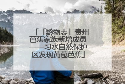 「黔物志」贵州芭蕉家族新增成员——习水自然保护区发现黄苞芭蕉