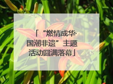 “燃情成华·国潮非遗”主题活动圆满落幕