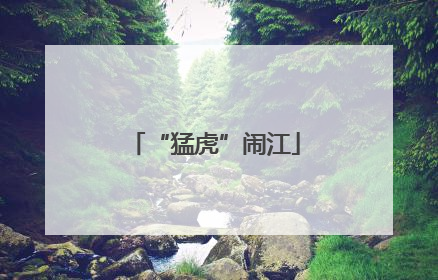 “猛虎”闹江
