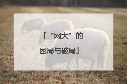 “网大”的困局与破局