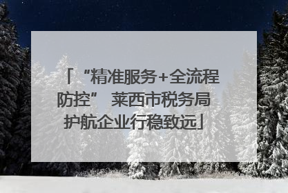 “精准服务+全流程防控” 莱西市税务局护航企业行稳致远