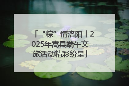 “粽”情洛阳丨2025年嵩县端午文旅活动精彩纷呈