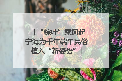 “粽叶”乘风起 宁海为千年端午民俗植入“新姿势”