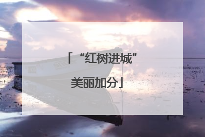 “红树进城” 美丽加分