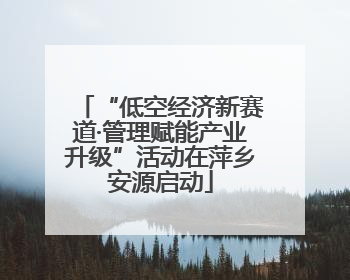 “低空经济新赛道·管理赋能产业升级”活动在萍乡安源启动