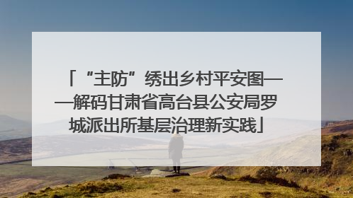 “主防”绣出乡村平安图——解码甘肃省高台县公安局罗城派出所基层治理新实践