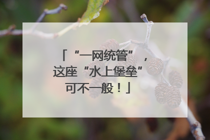 “一网统管”，这座“水上堡垒”可不一般！