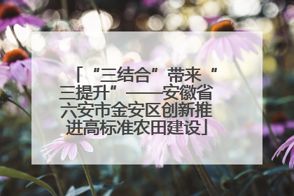 “三结合”带来“三提升”——安徽省六安市金安区创新推进高标准农田建设
