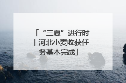 “三夏”进行时丨河北小麦收获任务基本完成