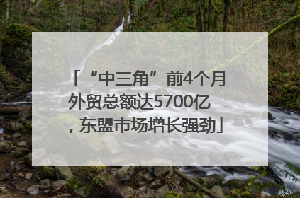 “中三角”前4个月外贸总额达5700亿，东盟市场增长强劲