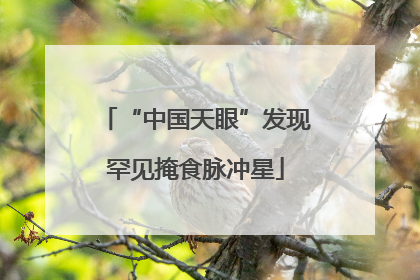“中国天眼”发现罕见掩食脉冲星