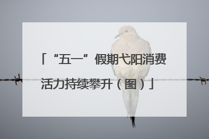 “五一”假期弋阳消费活力持续攀升（图）