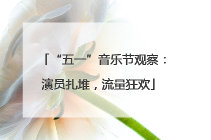 “五一”音乐节观察：演员扎堆，流量狂欢