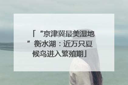“京津冀最美湿地”衡水湖：近万只夏候鸟进入繁殖期