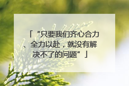 “只要我们齐心合力、全力以赴，就没有解决不了的问题”