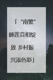 “南繁”睡莲竞相绽放 乡村振兴添色彩