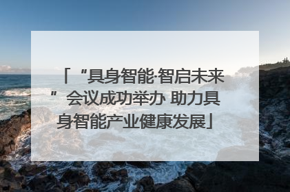 “具身智能·智启未来”会议成功举办 助力具身智能产业健康发展