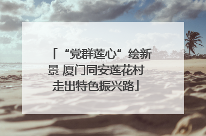 “党群莲心”绘新景 厦门同安莲花村走出特色振兴路