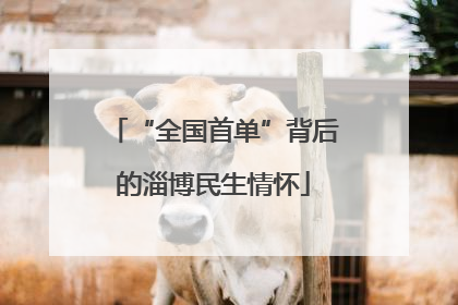 “全国首单”背后的淄博民生情怀