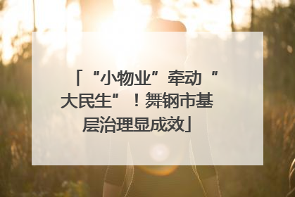 “小物业”牵动“大民生”！舞钢市基层治理显成效