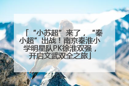 “小苏超”来了，“秦小超”出战！南京秦淮小学明星队PK徐淮双强，开启文武双全之旅