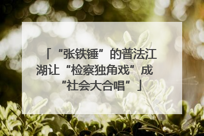 “张铁锤”的普法江湖让“检察独角戏”成“社会大合唱”