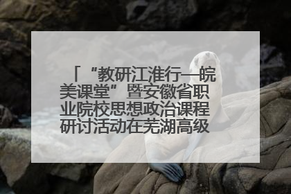 “教研江淮行—皖美课堂”暨安徽省职业院校思想政治课程研讨活动在芜湖高级职业技术学校举行