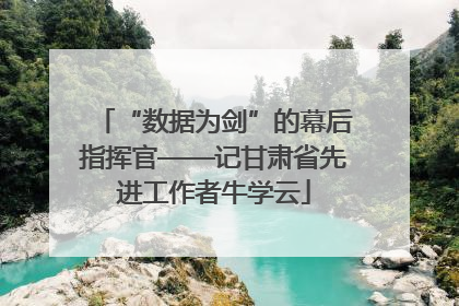 “数据为剑”的幕后指挥官——记甘肃省先进工作者牛学云