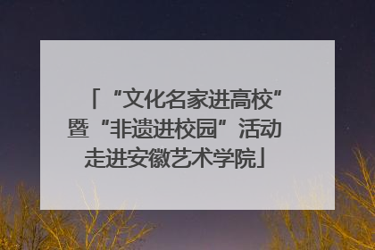“文化名家进高校”暨“非遗进校园”活动走进安徽艺术学院