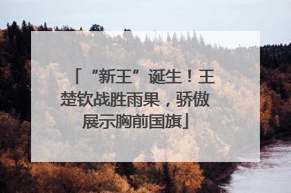 “新王”诞生！王楚钦战胜雨果，骄傲展示胸前国旗