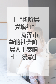“新阶层 党旗红”——菏泽市新的社会阶层人士奏响七一赞歌