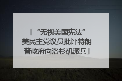 “无视美国宪法” 美民主党议员批评特朗普政府向洛杉矶派兵